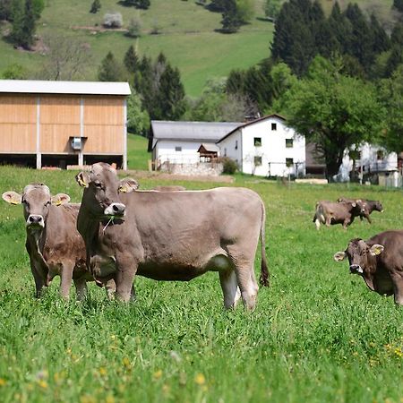 Ekoloska Turisticna Kmetija Pri Lovrcu Tolmin Exterior foto